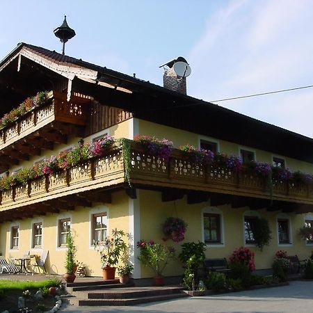 Gaestehaus Steinerhof Зальцбург Екстер'єр фото